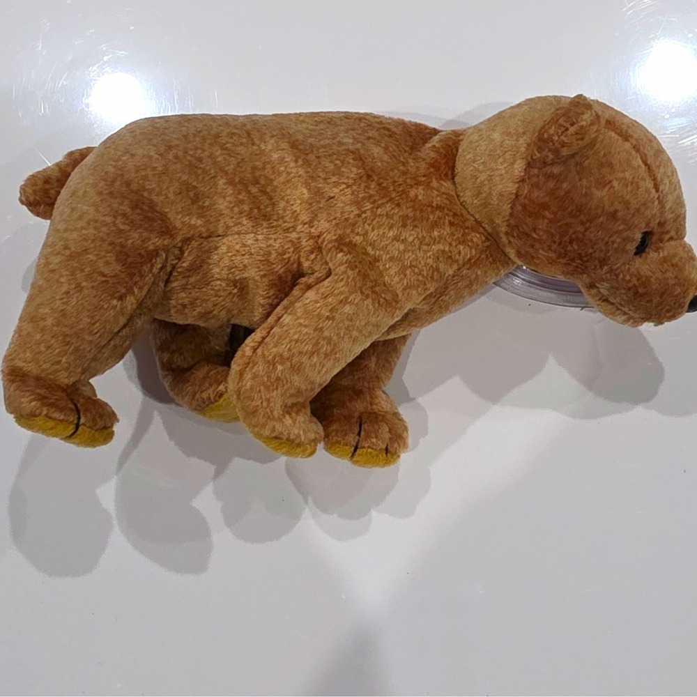 Ty Beanie Babies Pecan Beanbag Plush Stuffed Animal Vintage 1999 MPN 04251